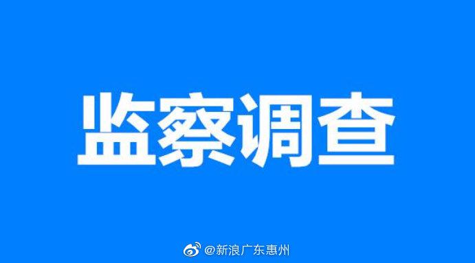 惠州市惠阳区人大常委会原副主任张娜接受纪律审查和监察调查