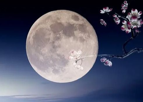 心理学哪一轮明月最美测出你向往的美好生活会实现吗