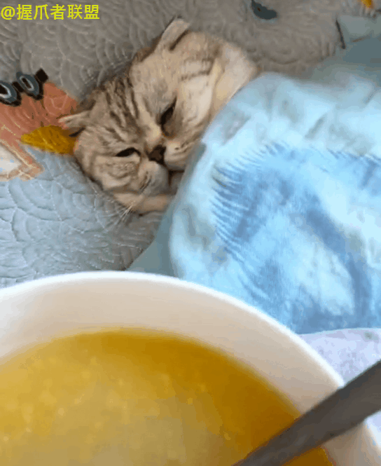 544_665gif 动态图 动图