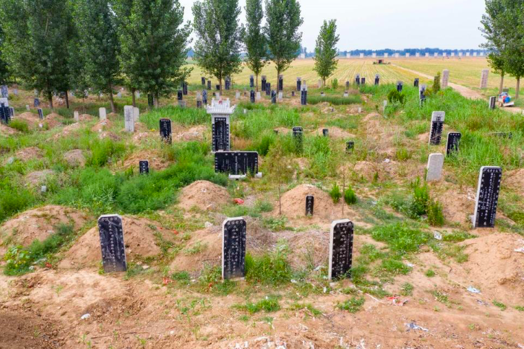 老话坟前生洞子孙穷坟后三物变富人是啥意思老话有道理吗