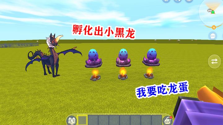 迷你世界:惊破天偷走龙蛋,想激怒黑龙进攻,结果孵化出黑龙宝宝