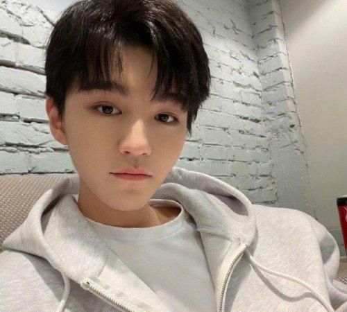 初恋脸王俊凯21岁发际线堪忧 身体频出状况令粉丝心疼|王俊凯|发际线