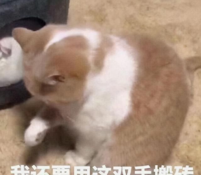 汤臣一品只配当娱乐室?逆水寒神壕为游戏体验,砸2000万买豪宅!休闲区蓝鸢梦想 - Www.slyday.coM 汤臣一品只配当娱乐室?逆水寒神壕为游戏体验,砸2000万买豪宅!休闲区蓝鸢梦想 - Www.slyday.coM