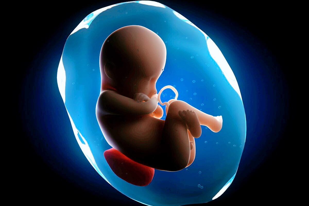 孕中期孕妈身上有5个变化明显正确应对和护理母婴更健康