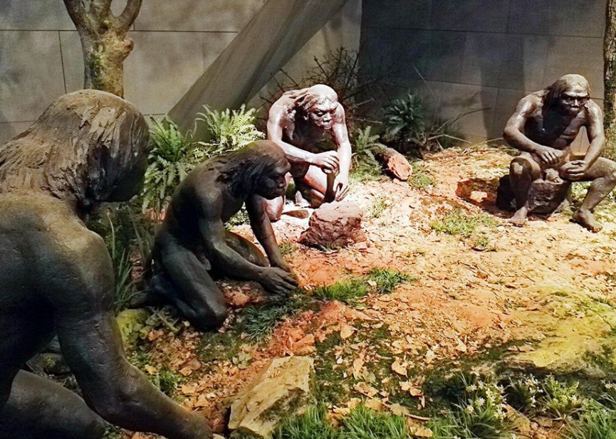 中国人的起源在什么地方?|人类|中国人|化石_新浪新闻