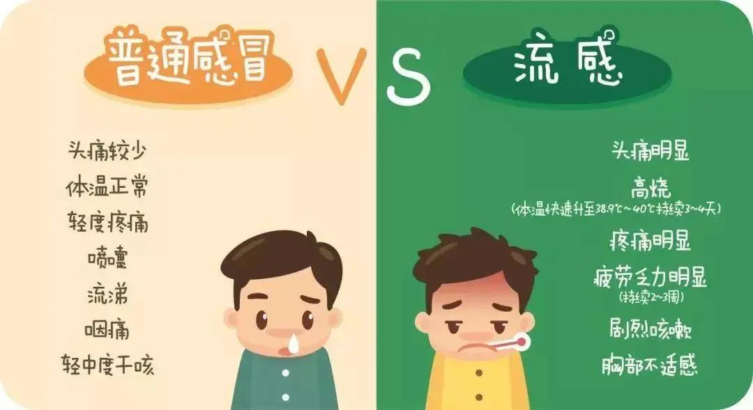 日常防控妙招→|流感|流行性感冒|防控_新浪新闻