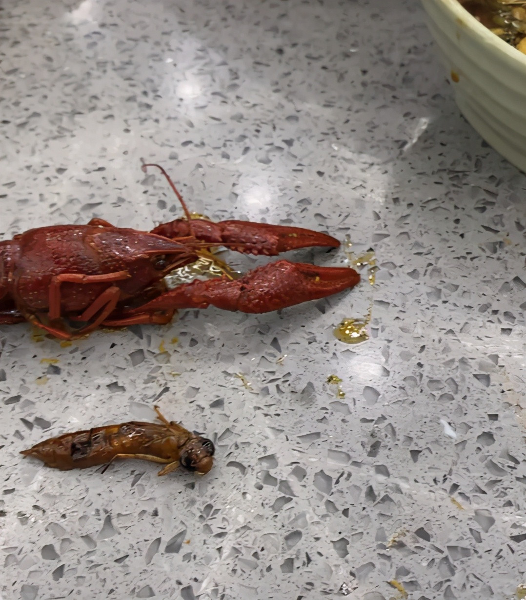 男子吃小龙虾吃出虫子找店家理论服务员这是小龙虾的小时候