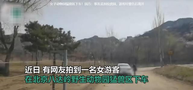 一女子擅自在动物园猛兽区下车 与老虎仅隔4米 网友:捏了一把汗休闲区蓝鸢梦想 - Www.slyday.coM 一女子擅自在动物园猛兽区下车 与老虎仅隔4米 网友:捏了一把汗休闲区蓝鸢梦想 - Www.slyday.coM