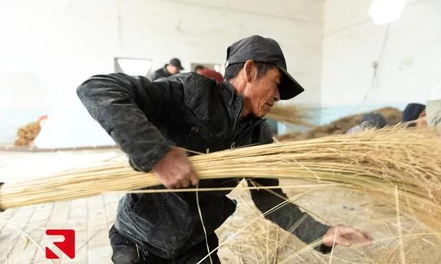 土左旗善岱镇陕西营村一把芨芨草扎出致富金扫帚