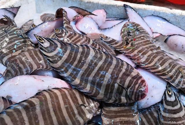 市场上遇到这"舌头"别手软,加点豆豉蒸一蒸,肉鲜味美真心好吃|豆豉|鱼