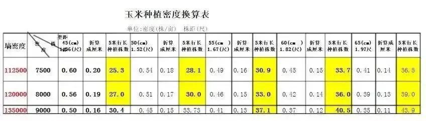 玉米株行距对照表图片