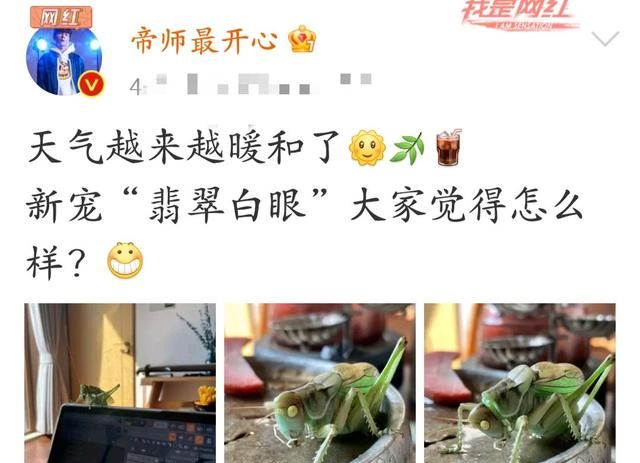 蝈蝈|炫富|帝师_新浪新闻