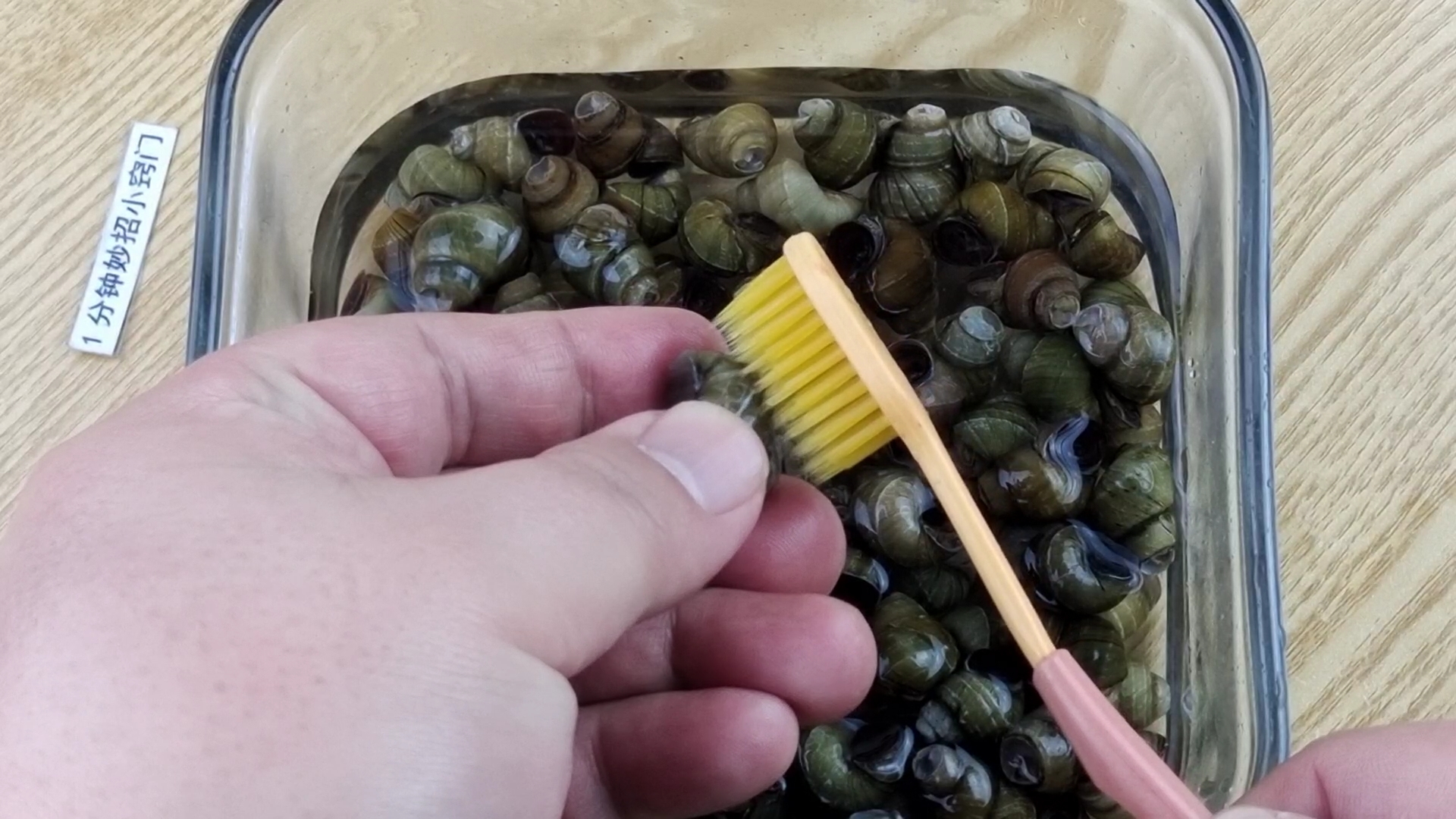 首先我们把田螺浸泡在清水里面,利用牙刷来把田螺清洗干净,一般田螺都