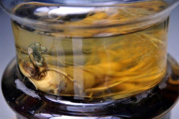 男子泡一整瓶人参酒10年后打开查看却意外发现