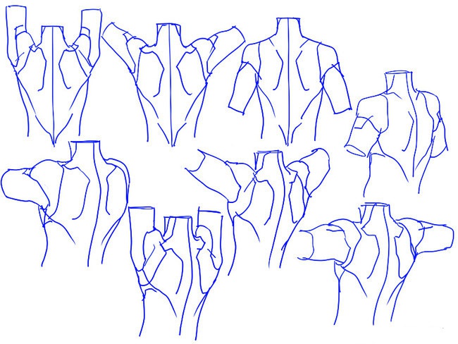 怎么画好动漫人物的肩膀