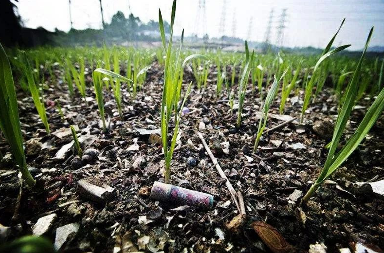 纯电汽车发展快,但别忘回头看看,动力电池污染怎么办?