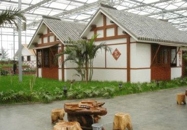 农村大棚不种菜改行种别墅长见识了吧