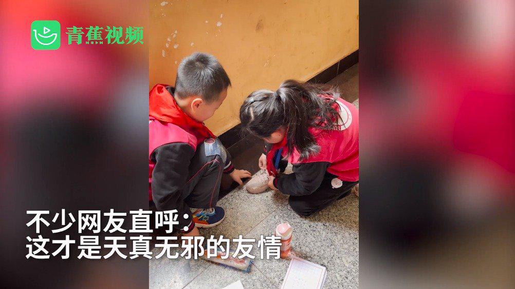红黄蓝幼儿园男幼师疑似猥亵男童:发男童闻脚照片 教育局介入