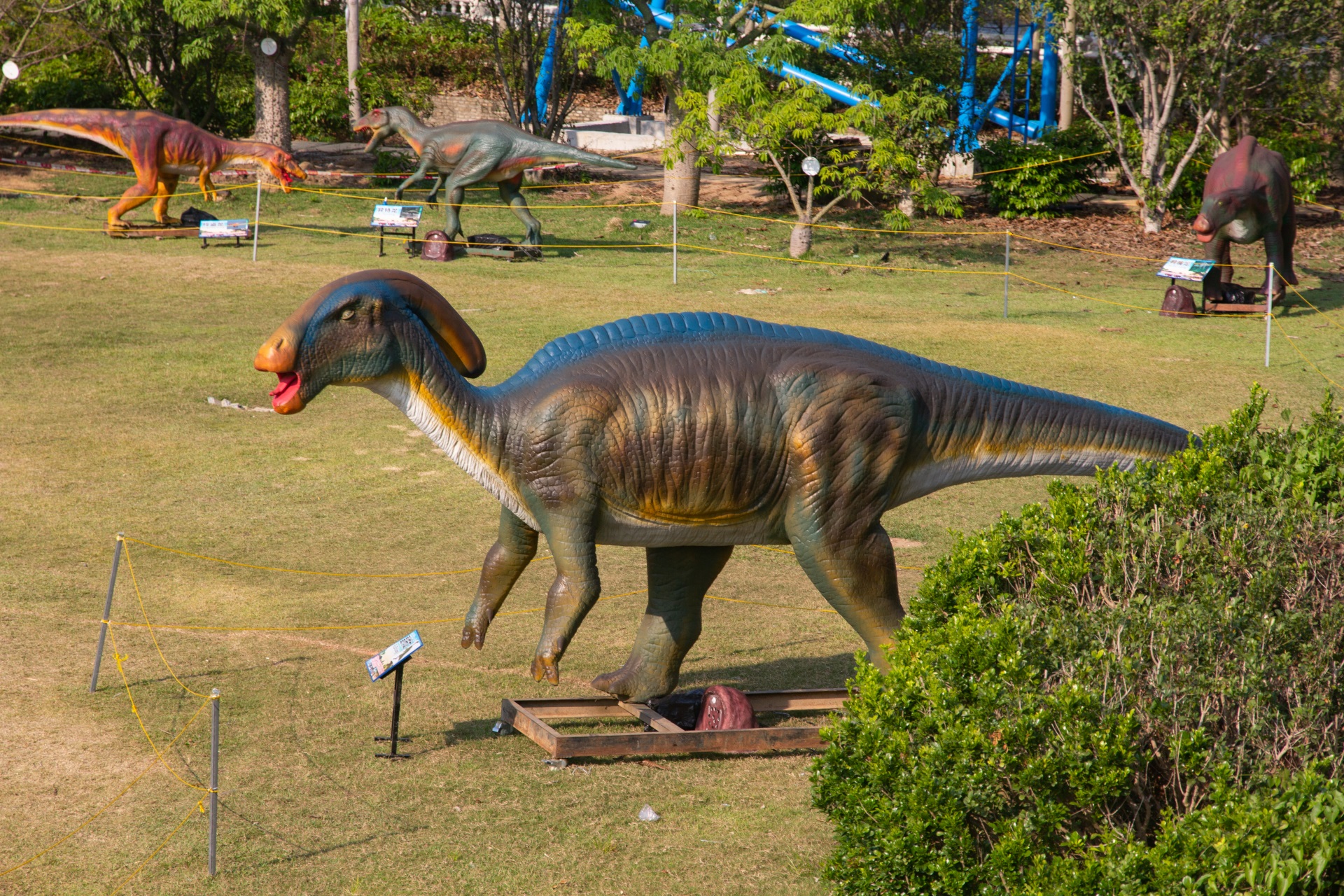 广州南沙新开一个恐龙公园十几只恐龙能吼能叫还会动