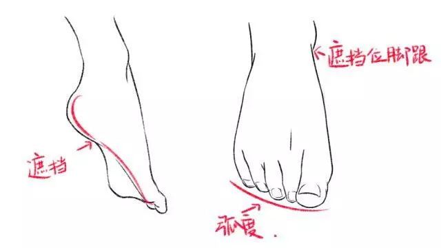 脚怎么画？脚的画法教程！