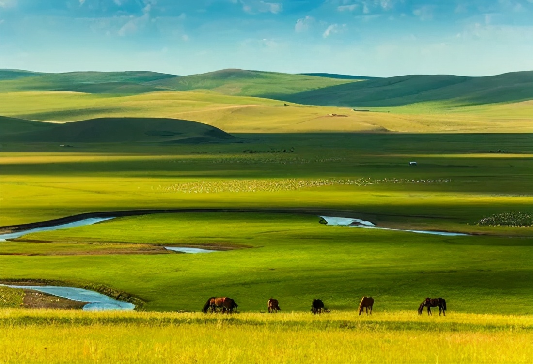 呼伦贝尔的夏天,到底有多美?|满洲里|草原|蒙古_新浪新闻