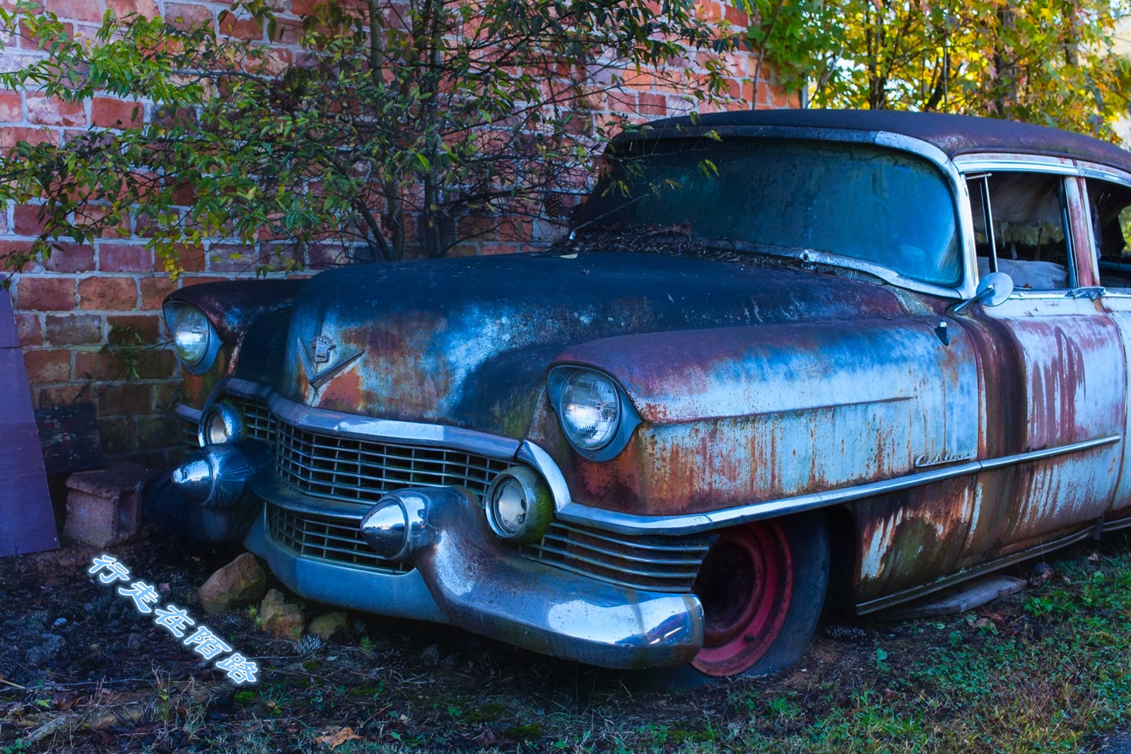 最值钱的废品露天停放4200辆报废车给再多钱也不卖