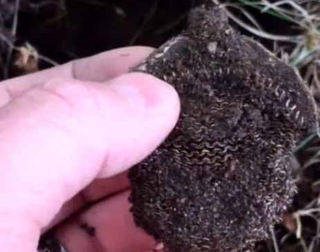 女子捡到一个满是泥土的包，打开后发现一堆硬币，鉴定后不淡定了休闲区蓝鸢梦想 - Www.slyday.coM