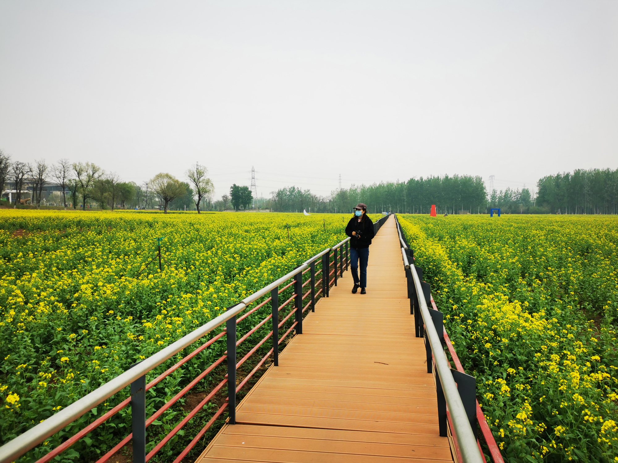 约起来吧4月17日到怪村油菜花海打卡去