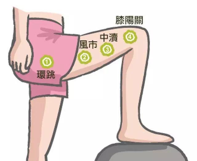 胆经和脾经,大家可以根据上下图,借助工具进行拍打,其实就是敲打我们