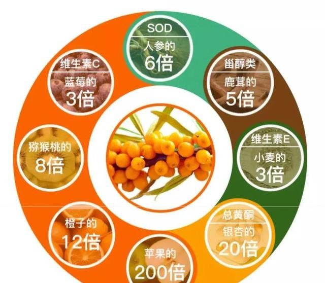 掘金爆品!"马爸爸"试过后亲口点赞,不愧是"维c之王"