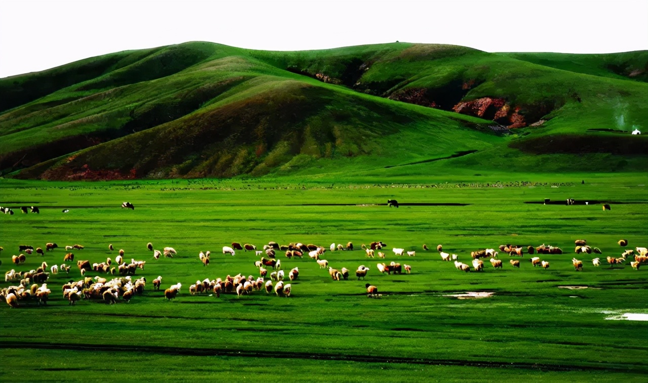 满洲里|草原|蒙古_新浪新闻