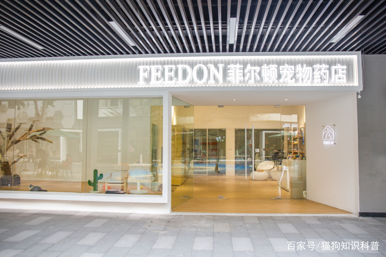 菲尔顿连锁专业医疗团队护航