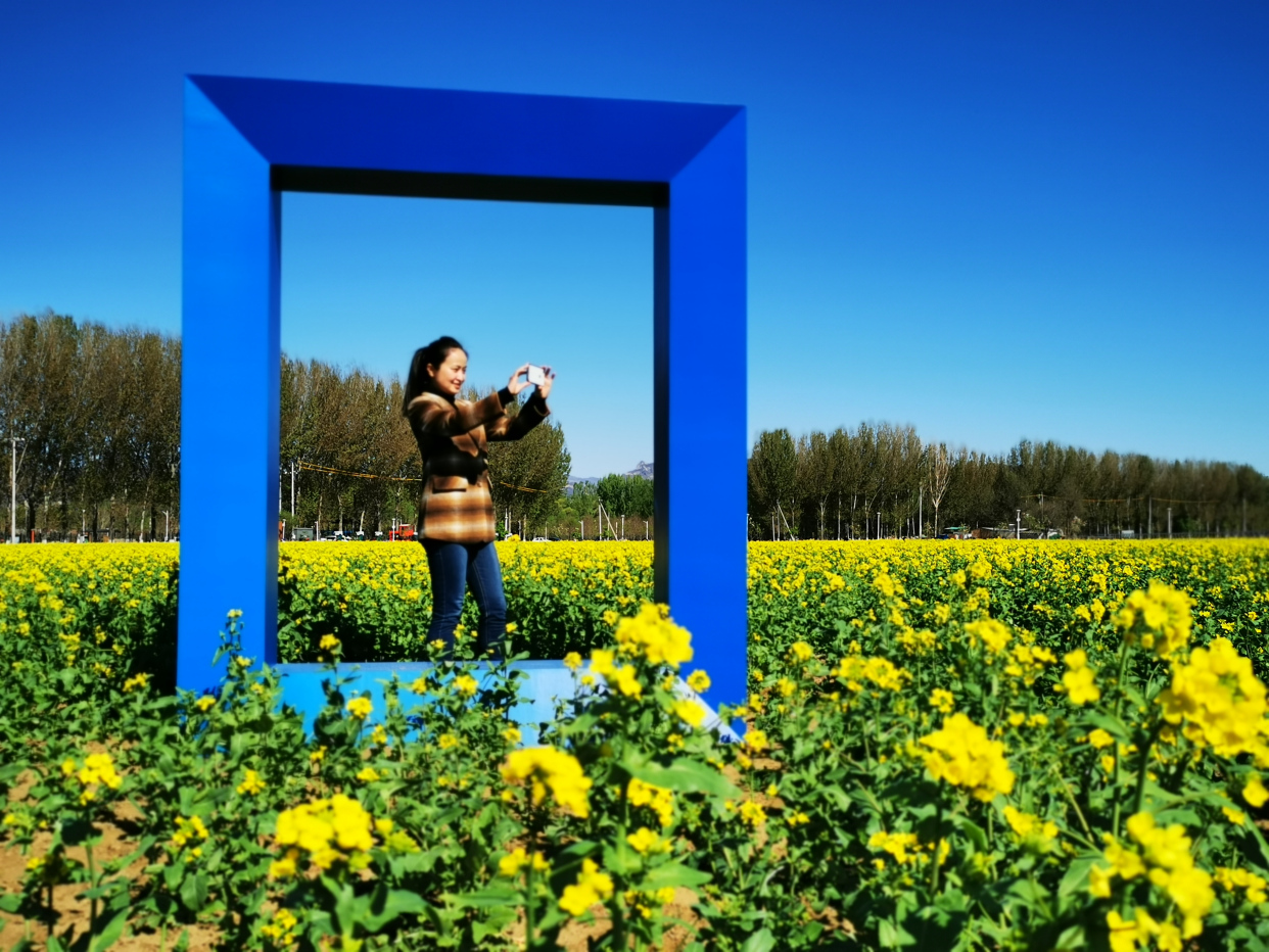 约起来吧4月17日到怪村油菜花海打卡去