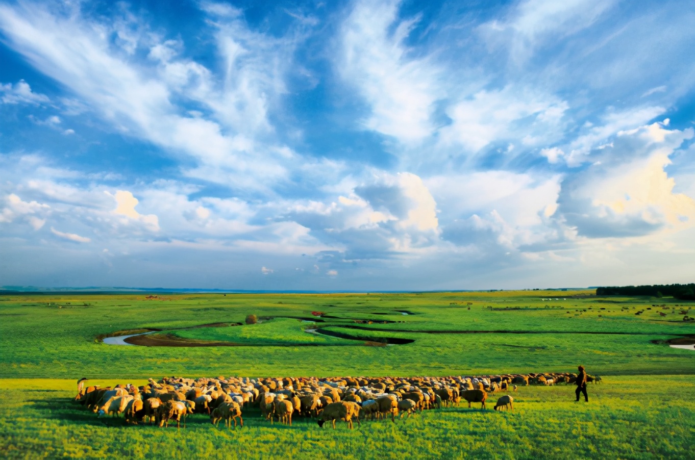 满洲里|草原|蒙古_新浪新闻