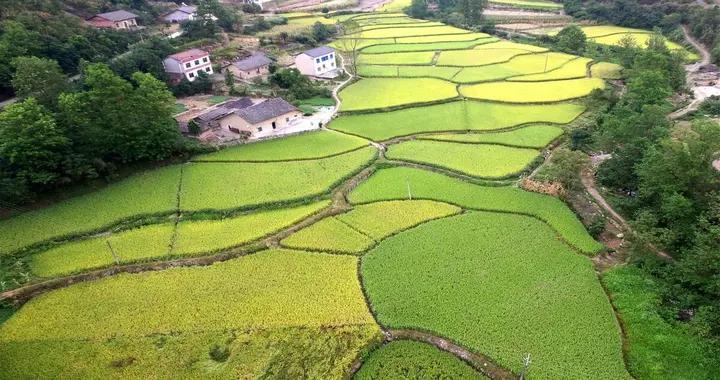农村未来10年，将出现这“三个变化”|农村|农民_新浪新闻