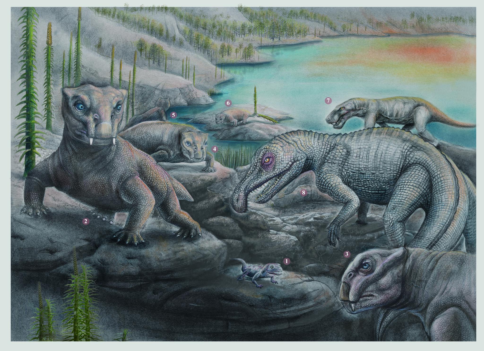 复原图:二叠纪的丽齿兽咬杀吞食大型植食兽足类,然而,两者都在二叠纪