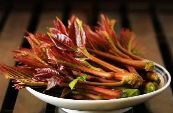 几种常见的野菜,建议大家吃前先焯水,不要忽视了休闲区蓝鸢梦想 - Www.slyday.coM 几种常见的野菜,建议大家吃前先焯水,不要忽视了休闲区蓝鸢梦想 - Www.slyday.coM