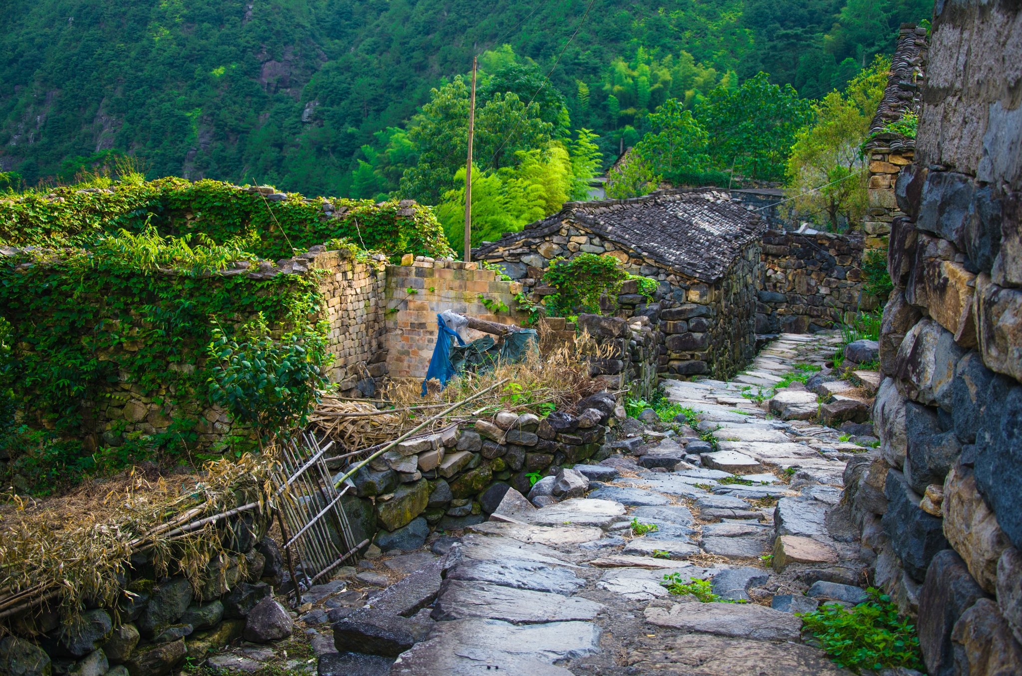 浙江被遗忘的古村落藏在深山老林中景色美如世外桃源