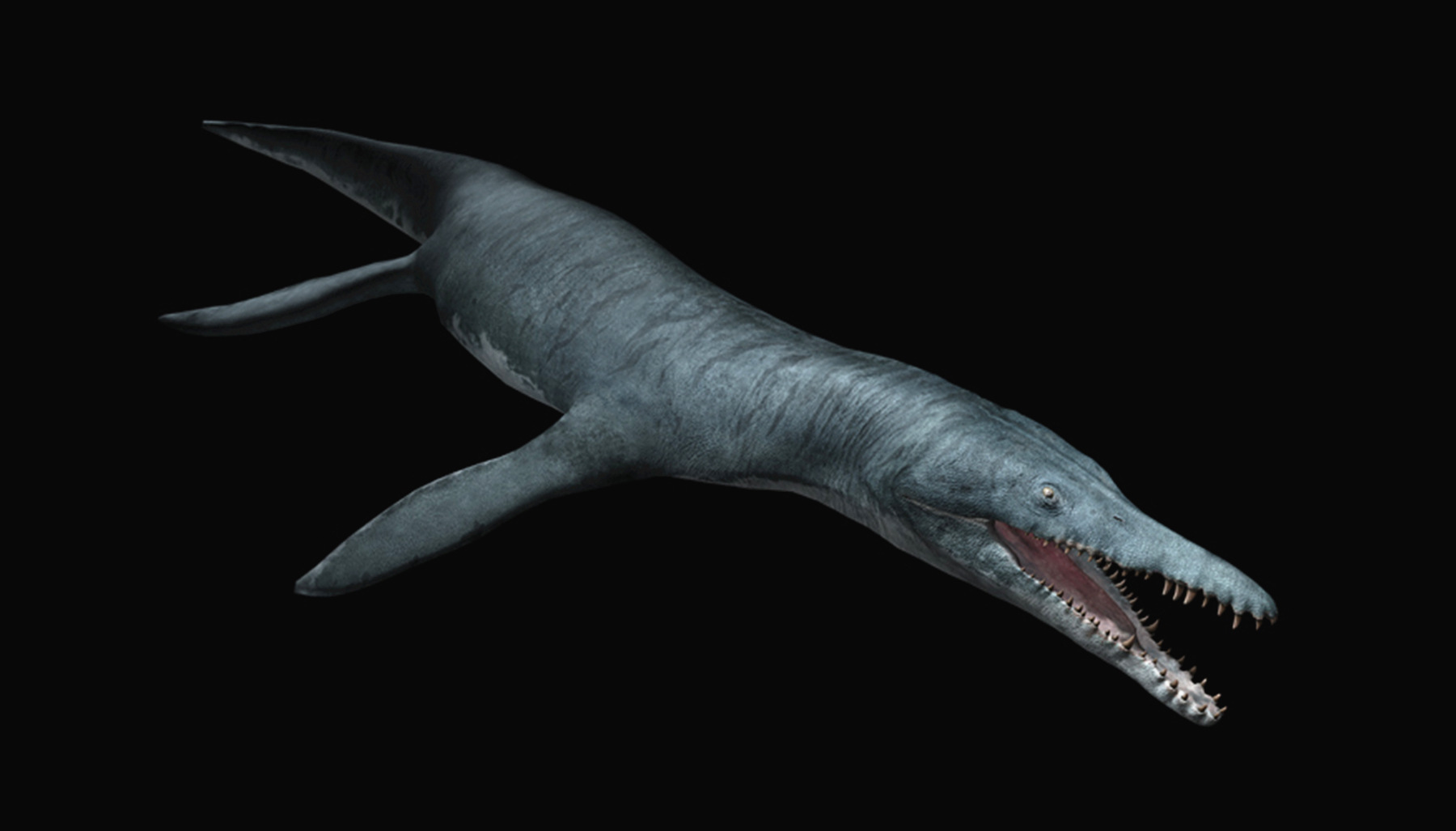 《巨齿鲨2》会有多条鲨鱼登场,导演:影片会有更多大场面