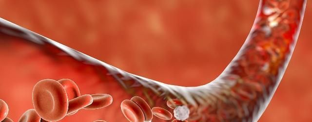 每晚睡觉前吃几粒枸杞,对身体有多大的好处?很多人都忽略了休闲区蓝鸢梦想 - Www.slyday.coM 每晚睡觉前吃几粒枸杞,对身体有多大的好处?很多人都忽略了休闲区蓝鸢梦想 - Www.slyday.coM