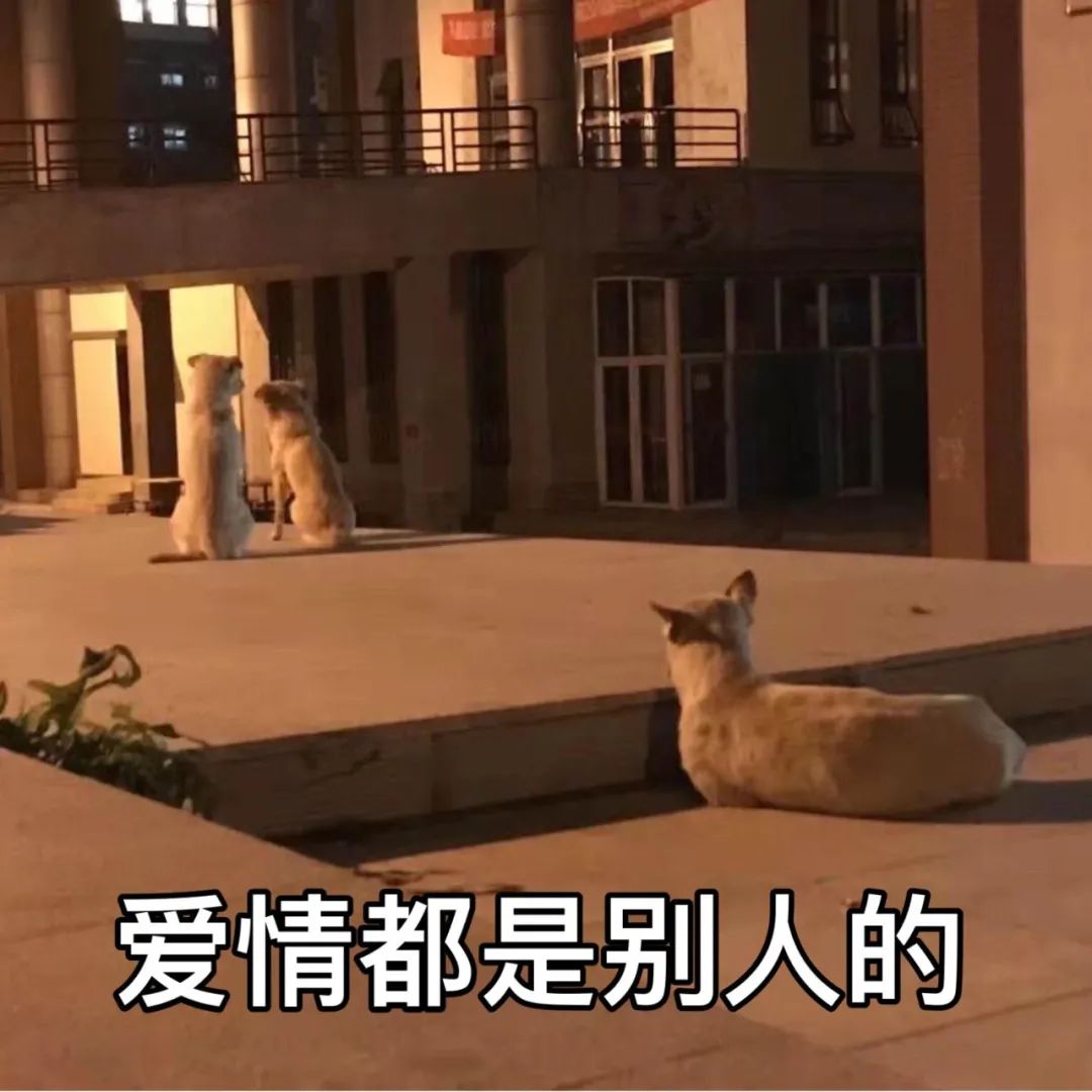 什么是大连理工 新浪新闻 什么是大连理工 新浪新闻