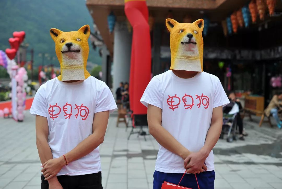 可以由单身人士或夫妇使用