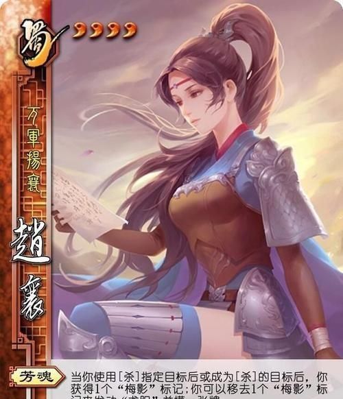 三国杀花间梅影愿承父心赵襄