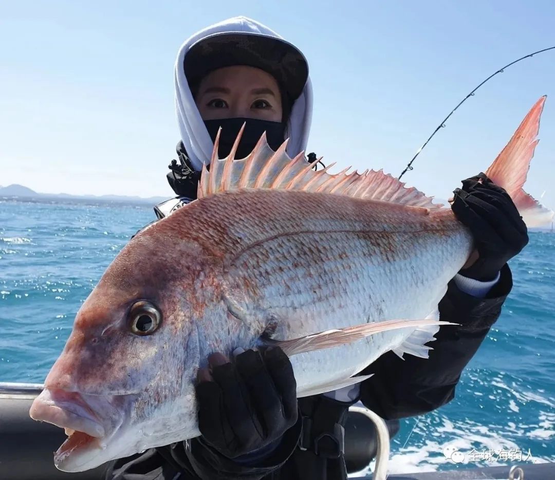 马鲛鱼,红鱼,鲣鱼在西沙各种各样的鱼多得数不清也会成为很多人最有