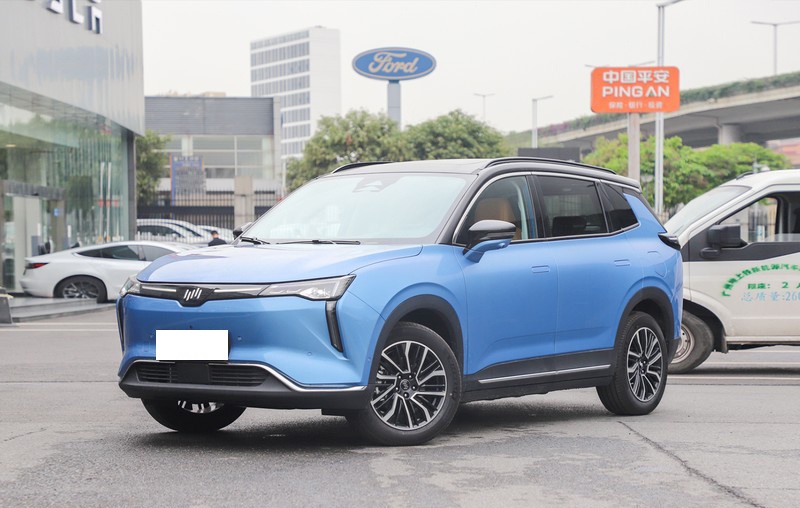 威马w6正式上市 售价区间为16.98-25.98万元-新浪汽车