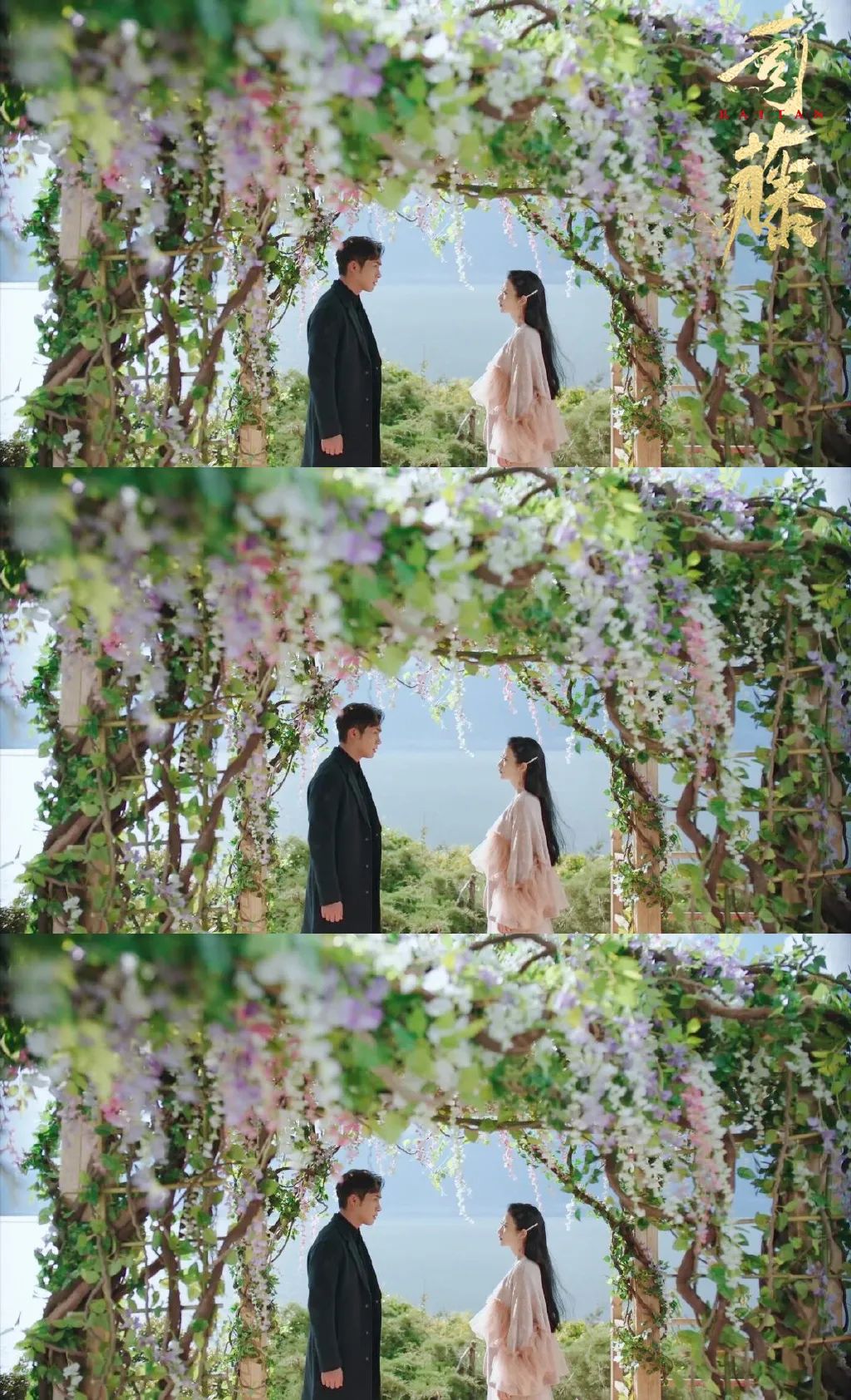 95一对新人立于交错缠绕的藤树之下,千年的擎天树是他们爱情的见证