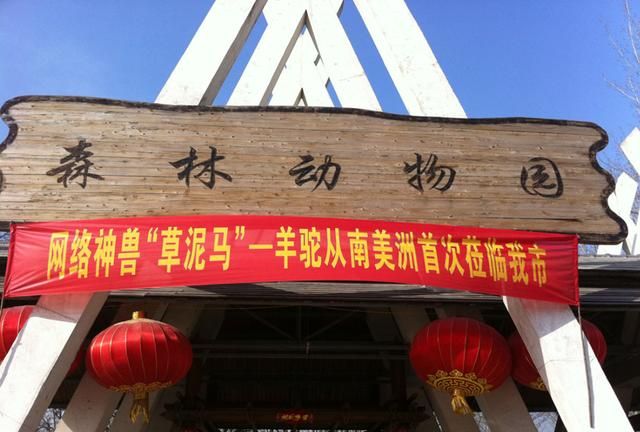 河南小村致富新经紧邻景区节假日满地黄牛