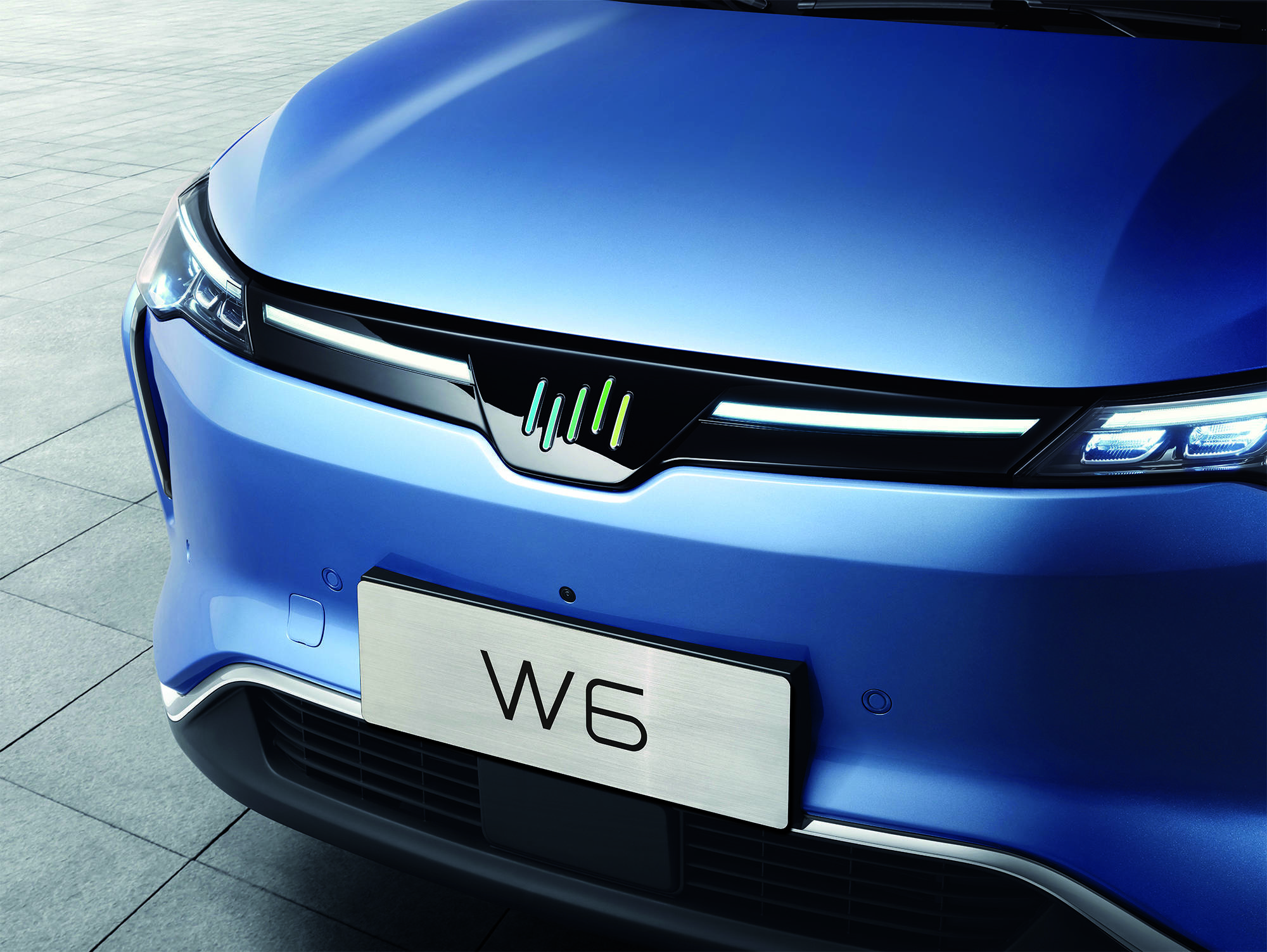 完美解决中国车主痛点威马w6上市1698万元起售