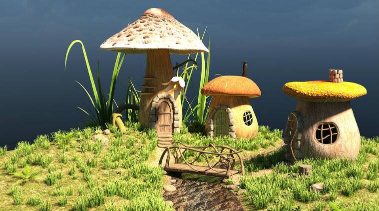 假如我们可以用蘑菇建造房屋的话这个世界会变成什么样子