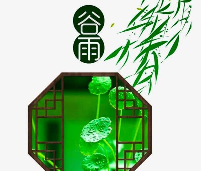 穀雨節氣溼氣大多吃3瓜2豆1谷順應節氣迎接夏季到來